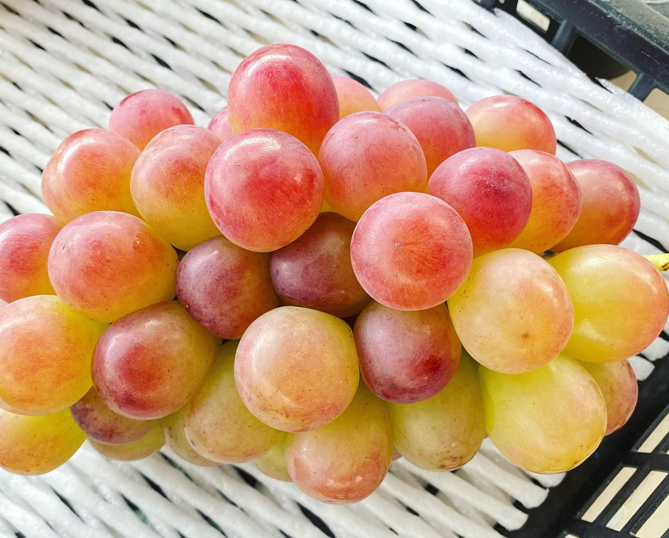 土屋農園の葡萄｜約20品種の色とりどりな葡萄を販売